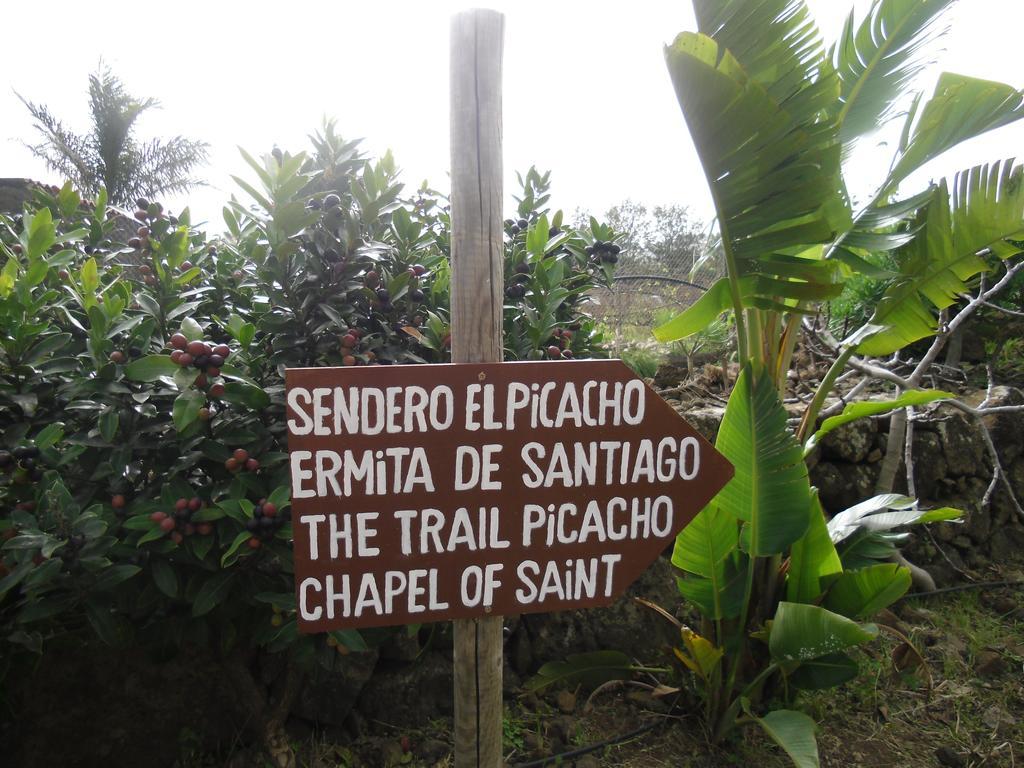 Finca El Picacho Apartments In The Countryside 2 Km From The Beach Tejina Chambre photo