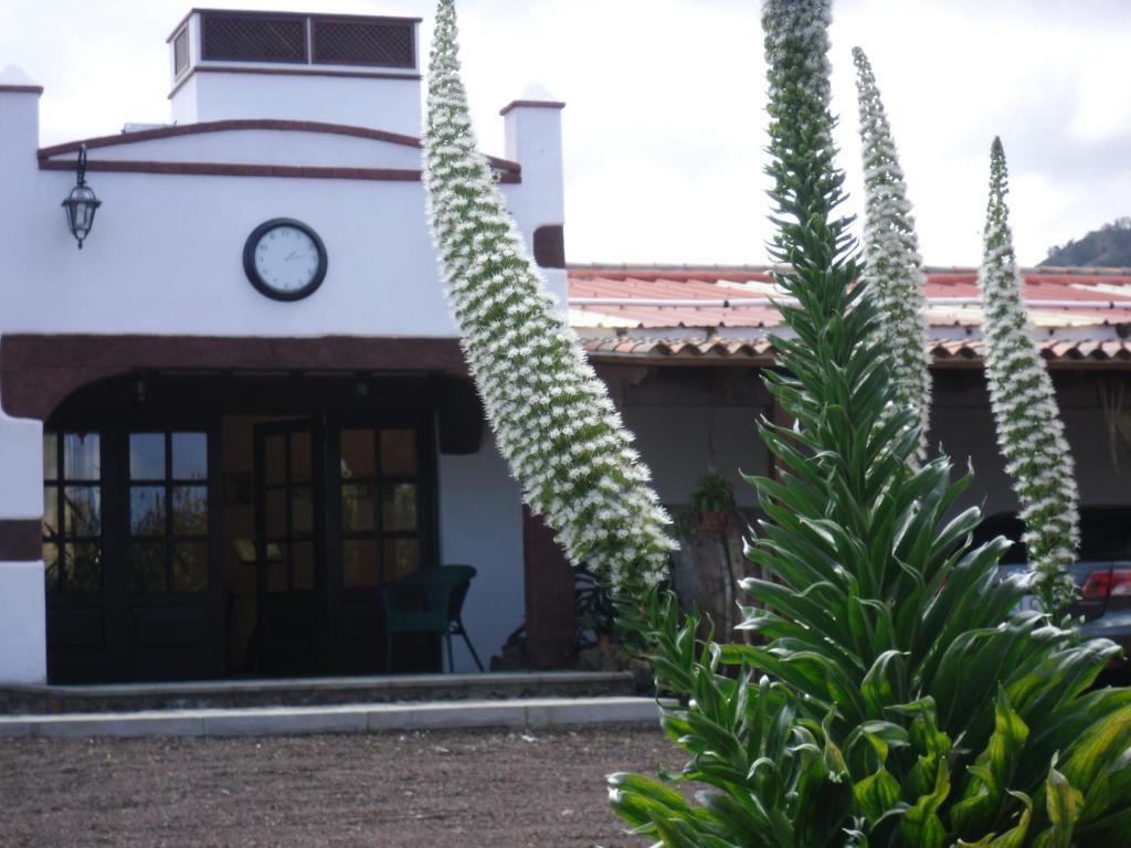 Finca El Picacho Apartments In The Countryside 2 Km From The Beach Tejina Extérieur photo